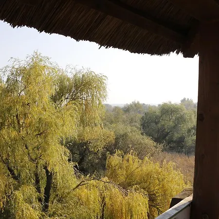 Wellness In Velence